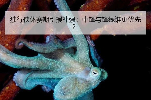 独行侠休赛期引援补强：中锋与锋线谁更优先？